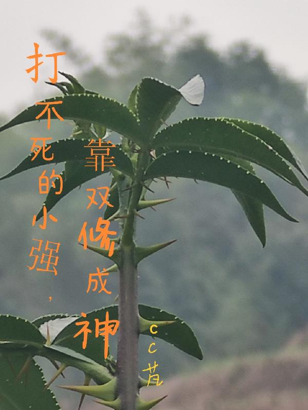 打不死的小强,靠双修成神